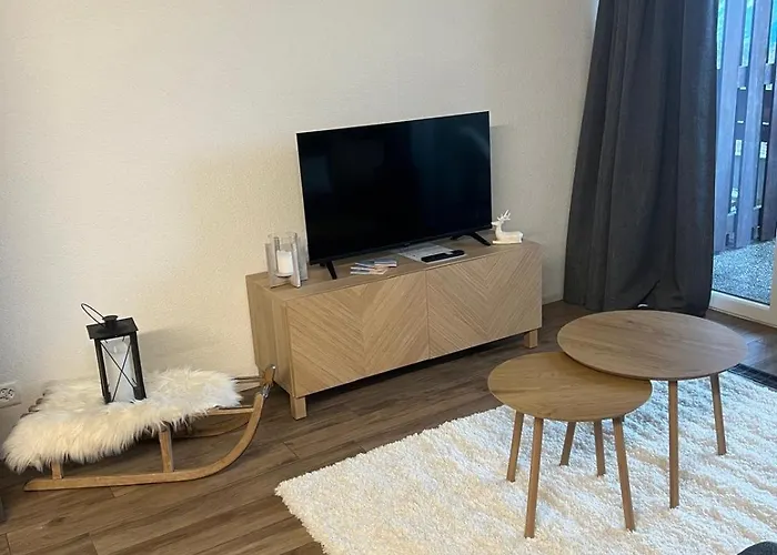 Elegant Renove Avec Vue A Apartment